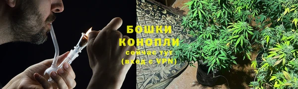 PSILOCYBIN Аркадак