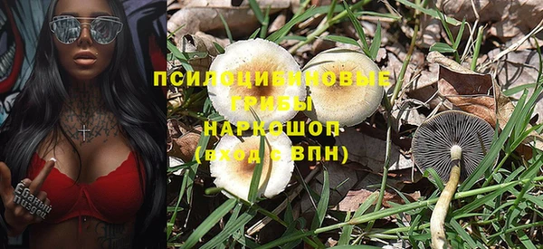 экстази Арсеньев