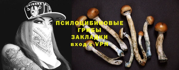 экстази Арсеньев