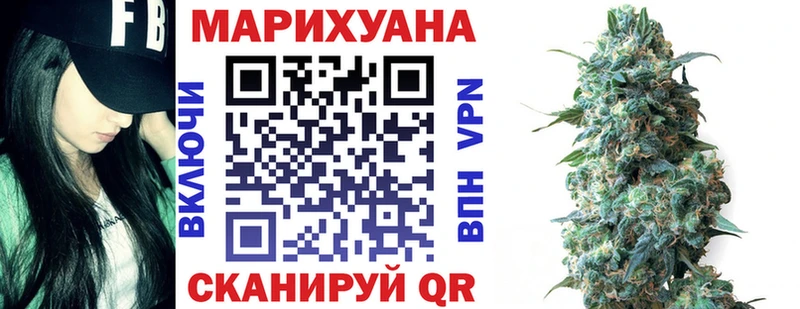 Канабис конопля Кашин